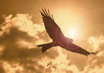 Failed self sufficiency gives way to soaring because of the Lord