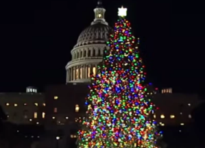 The 2023 U.S. Capitol Christmas Tree