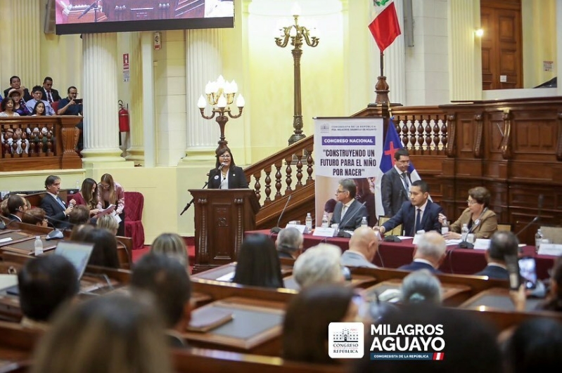 Milagros Aguayo speaking in Congress.