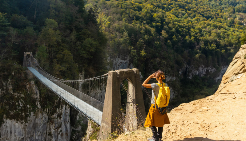 Bridge from desert to bush