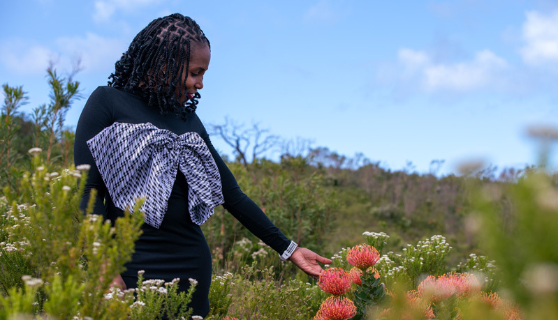 African flowers in bloom