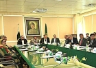 Meeting of Pakistan’s ministerial review committee on Dec. 4, 2024. 