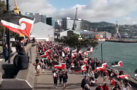 Thousands take part in Māori protests in New Zealands capital in November 2024