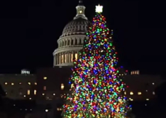 US Capitol Christmas Tree guidelines no longer ban religious ornaments, Christian group says