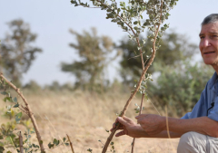 An Australian farmer's gift to the world