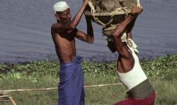 Today's International Day for the Eradication of Poverty highlights need to tackle institutional maltreatment