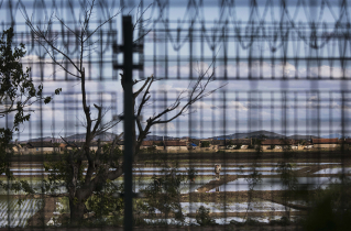 Worsening human rights situation in North Korea calls for change in mission strategy: need to face reality