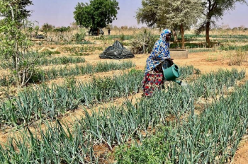 From food aid to food security: How reclaiming the Sahel desert is greening Niger and enhancing livelihoods