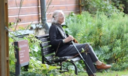 Belgium considers euthanasia law expansion to include dementia patients