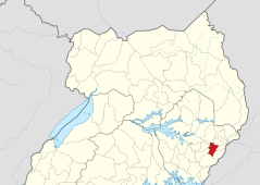 Evangelist who led Muslims to Christ slain after gospel event