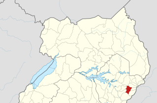 Evangelist who led Muslims to Christ slain after gospel event