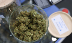 New study links marijuana to heart failure, echoing Christian medical professionals’ long-standing warnings against recreational use