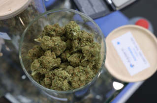 New study links marijuana to heart failure, echoing Christian medical professionals’ long-standing warnings against recreational use