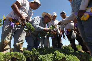 Evangelical body welcomes US pause on deporting immigrant laborers in agriculture and hospitality