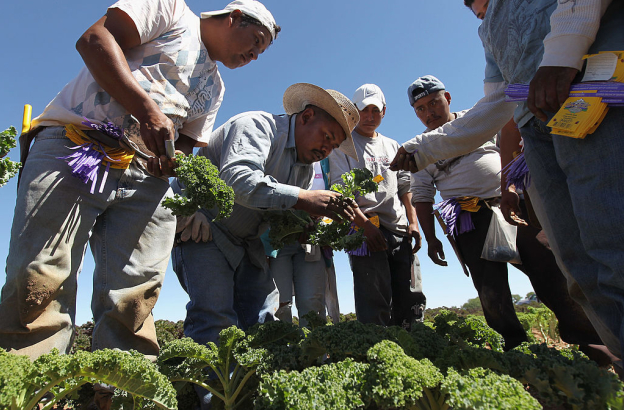 Evangelical body welcomes US pause on deporting immigrant laborers in agriculture and hospitality