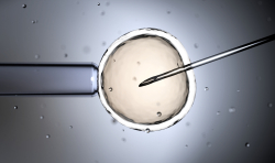 Swiss Evangelical Alliance opposes egg donation plans for women in Switzerland