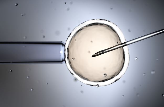 Swiss Evangelical Alliance opposes egg donation plans for women in Switzerland