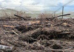 New Zealand Christian Network calls for prayer amid Nelson Tasman flood recovery