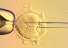 UK babies born using DNA from three people raise ethical questions