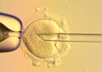 UK babies born using DNA from three people raise ethical questions