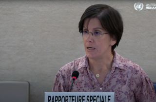 UN expert warns gender ideology undermines protections for women and girls: ‘You cannot protect what you cannot define’