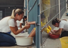 Christian women wash inmates’ feet in Brazil and share a message of love and dignity