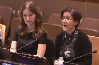 Surrogacy industry dehumanizes women and children, should be banned globally, UN expert says