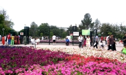 Blind Christian in Pakistan charged with blasphemy