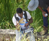 Attempts to block anti-corruption probe in Jamaica undermines public trust, say church organizations