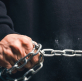 A thought for the new year: those who don’t move, don’t notice their chains