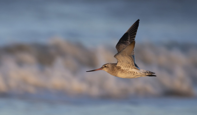 A broader view on migration to encourage Christian action