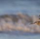 A broader view on migration to encourage Christian action
