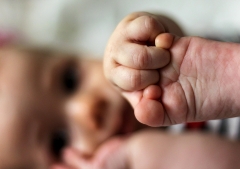 73 million defenseless people were killed last year. Here’s why