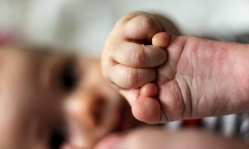 73 million defenseless people were killed last year. Here’s why