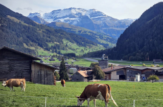 Farmers’ church in Switzerland adapts worship to agricultural life