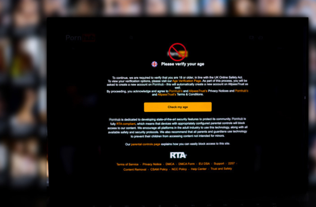Reviewing the shocking exposé into pornography dictators and profiteers