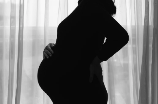 States launch UN declaration calling for global moratorium on surrogacy