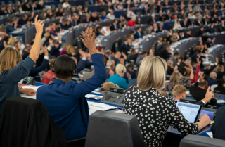 EU to submit resolution on forced conversions/marriages of minority girls in Pakistan