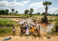 Global evangelical leaders call churches to mark Creation Sunday on Sept. 6